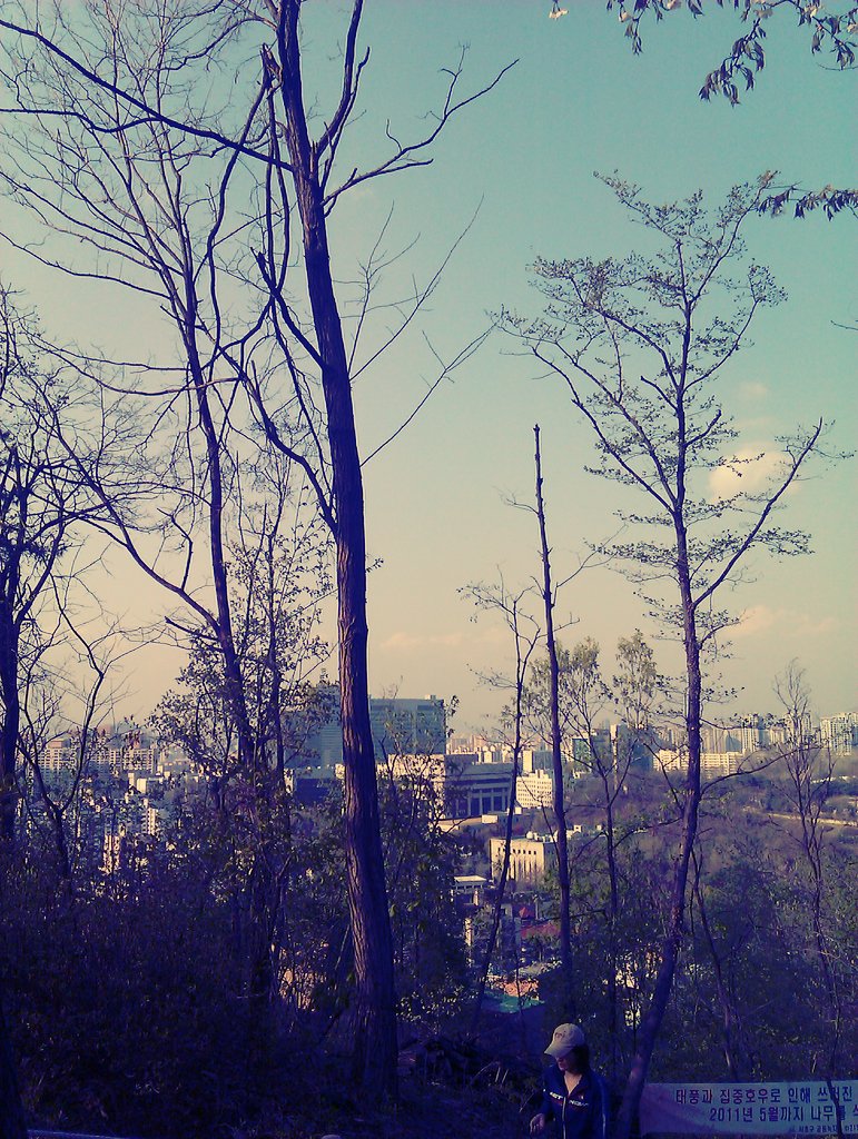 Media_https2i1picplzt_ihnvu